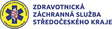 Primary Raster logo